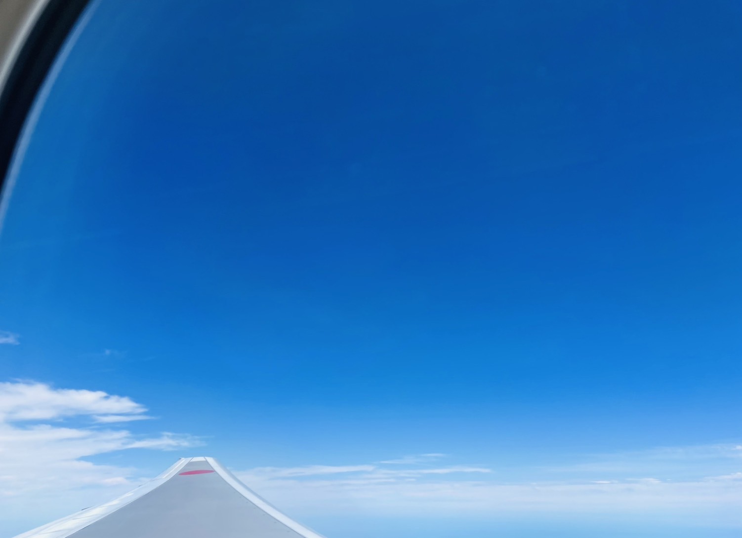 ファイル 2199-1.jpeg