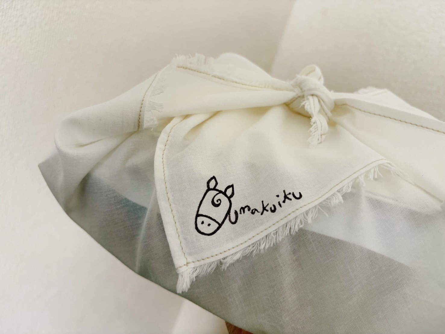 ファイル 2728-3.jpeg