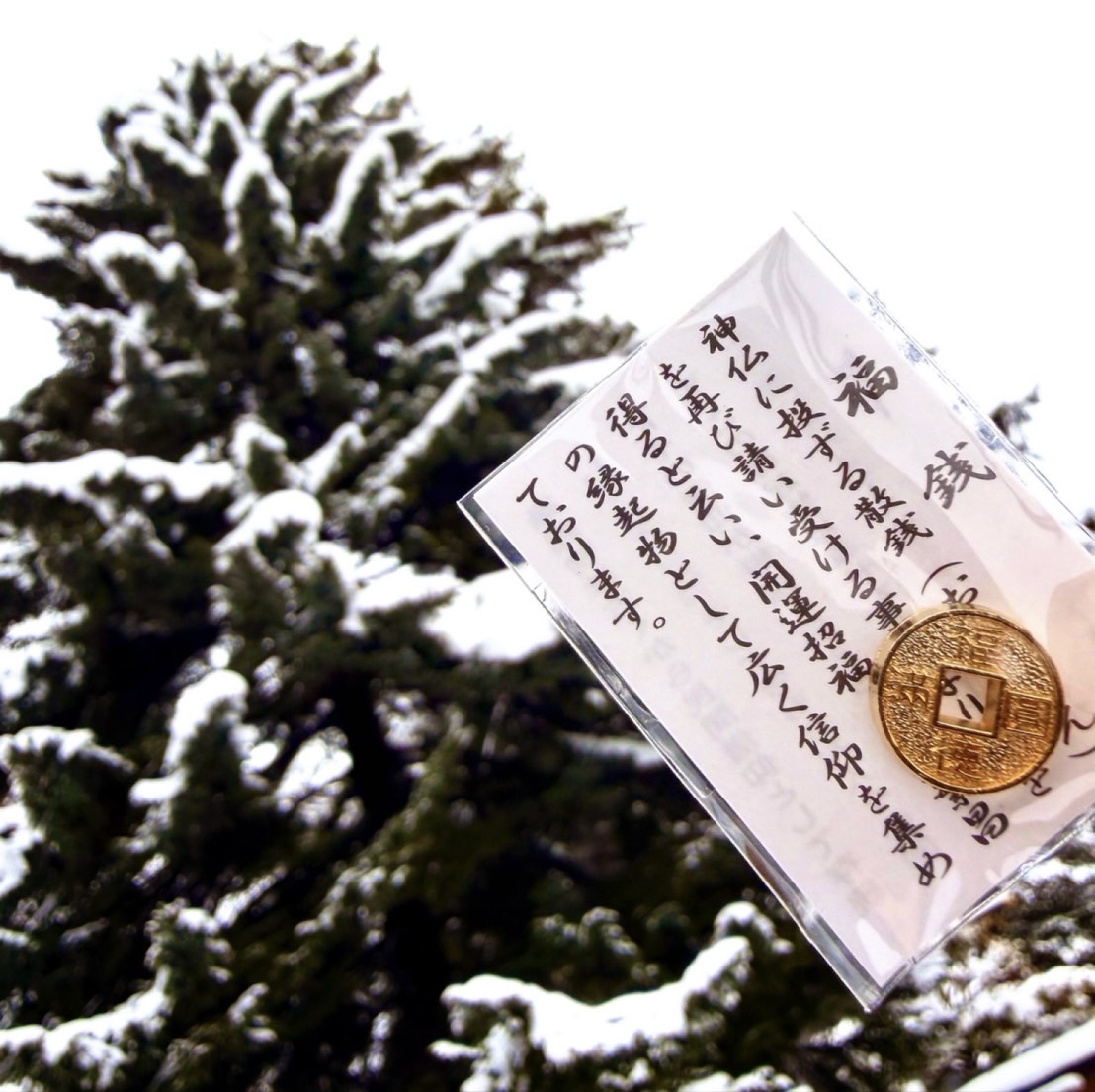 ファイル 2729-1.jpeg