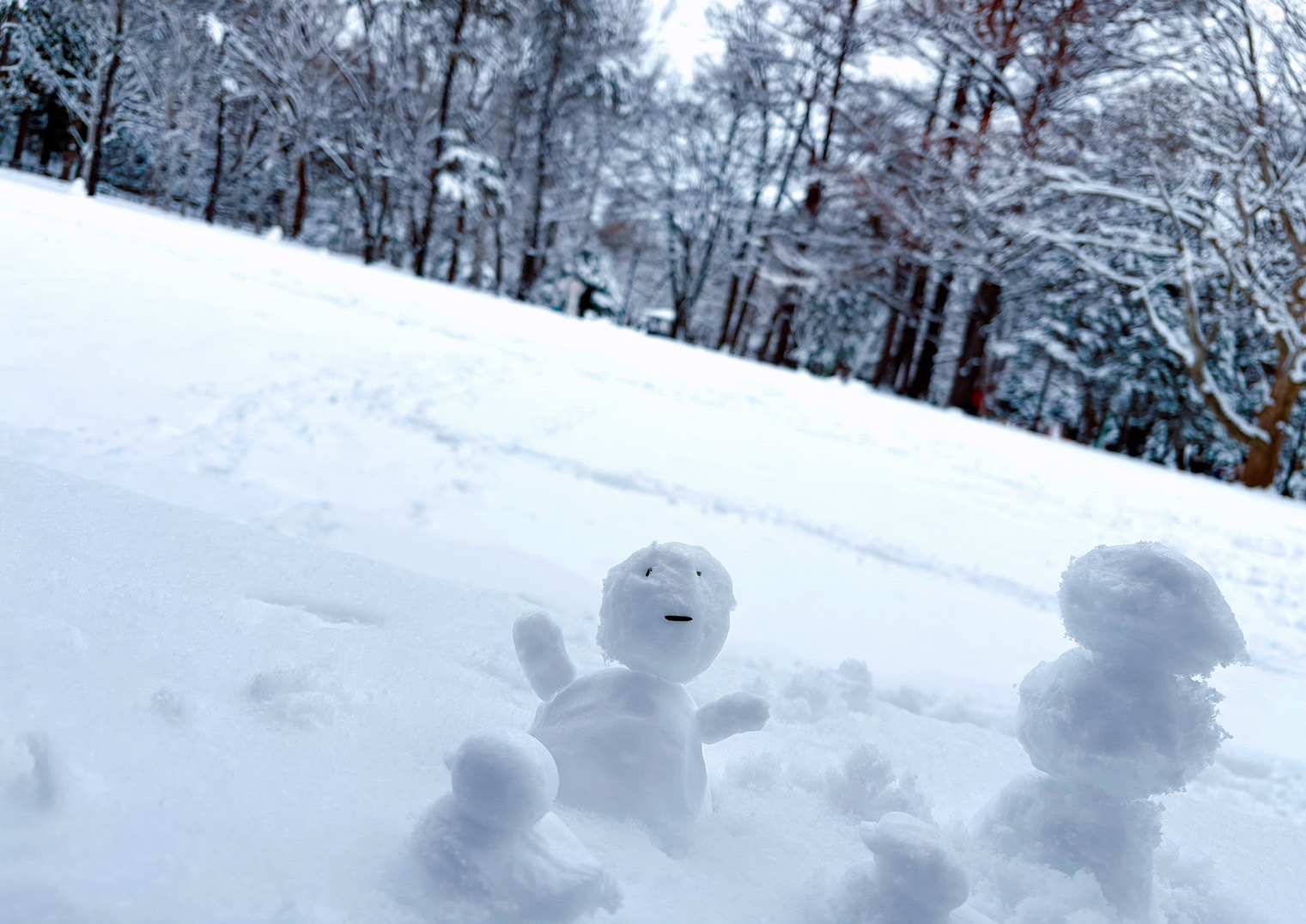 ファイル 2729-2.jpeg