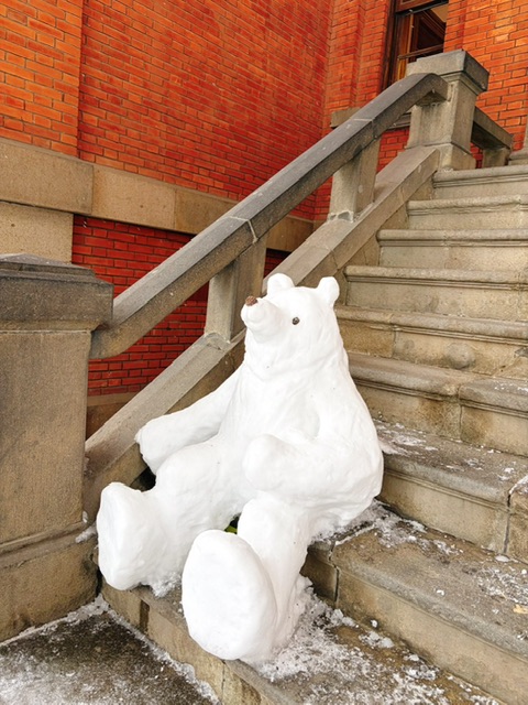 ファイル 2738-2.jpeg