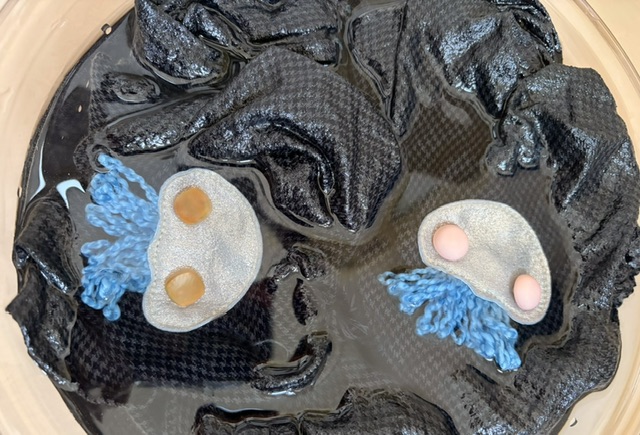 ファイル 2769-2.jpeg