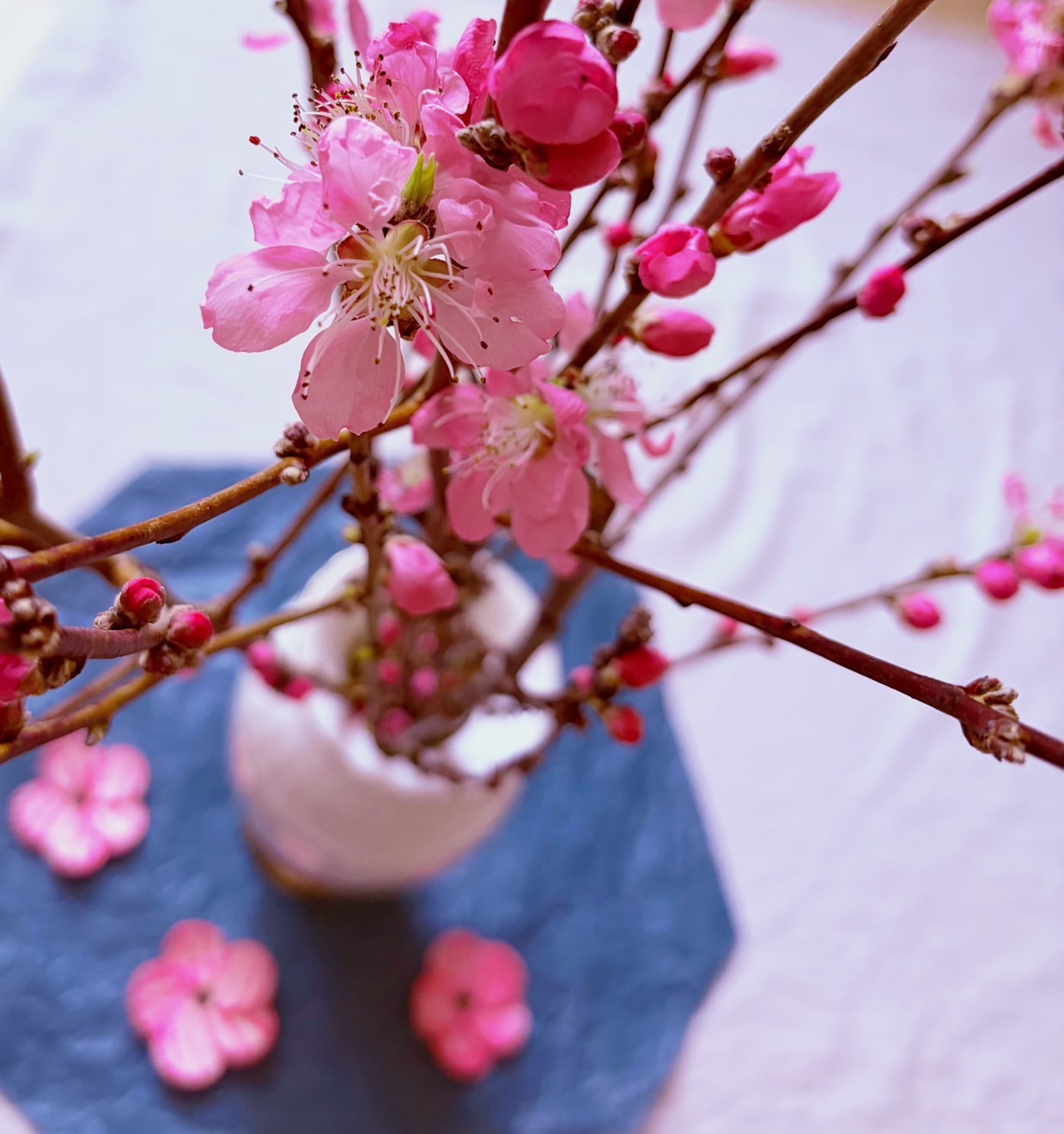 ファイル 2779-1.jpeg