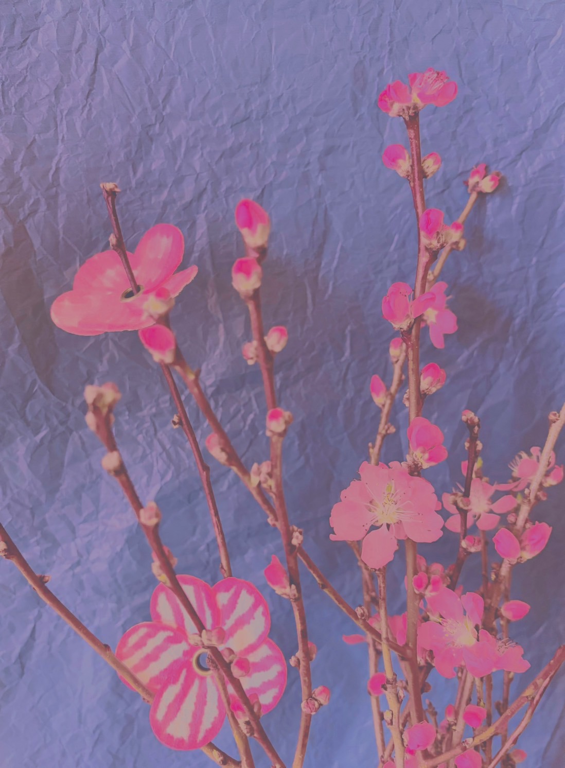 ファイル 2779-2.jpeg