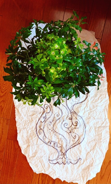 ファイル 2788-1.jpeg