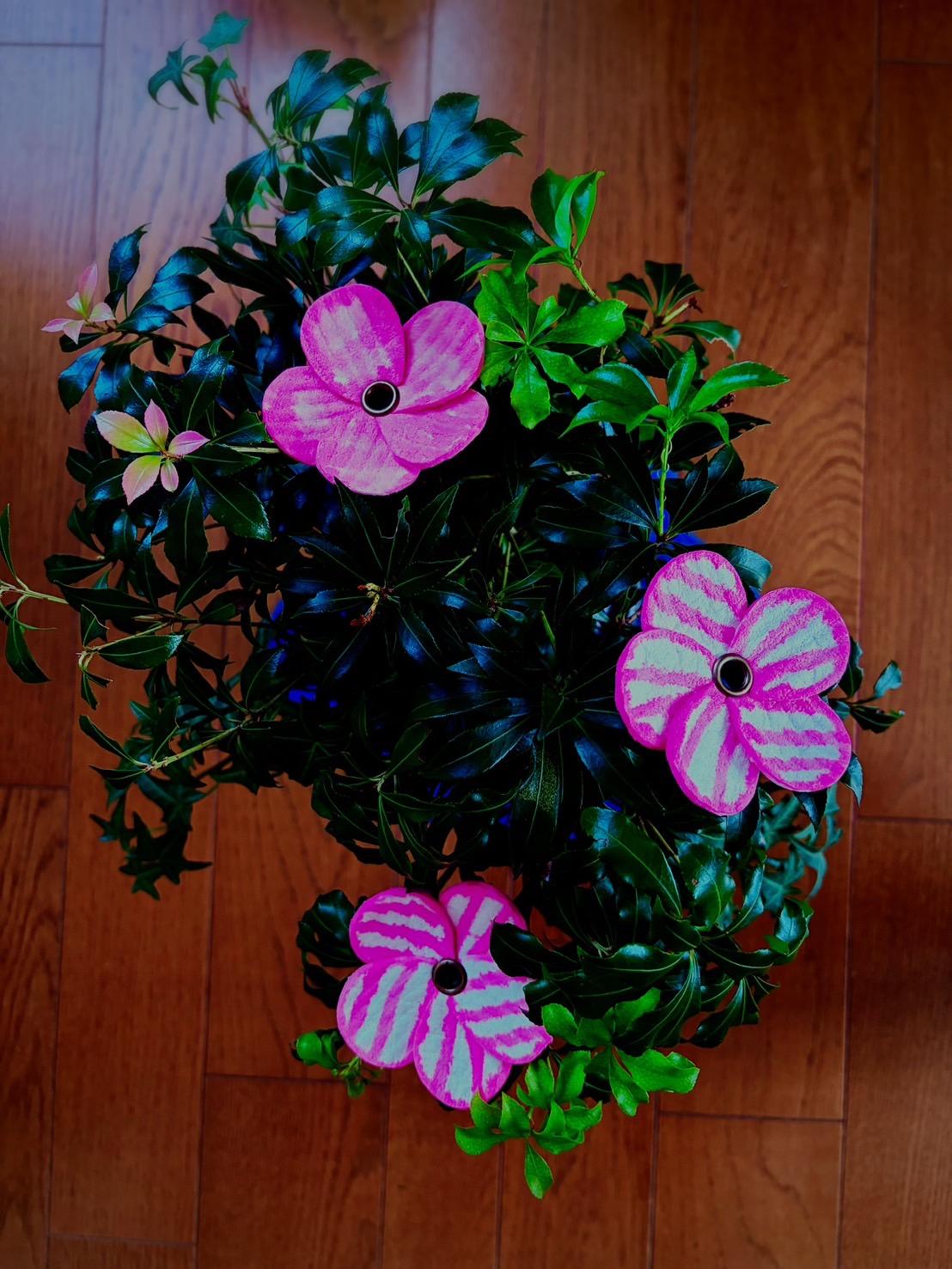 ファイル 2788-3.jpeg