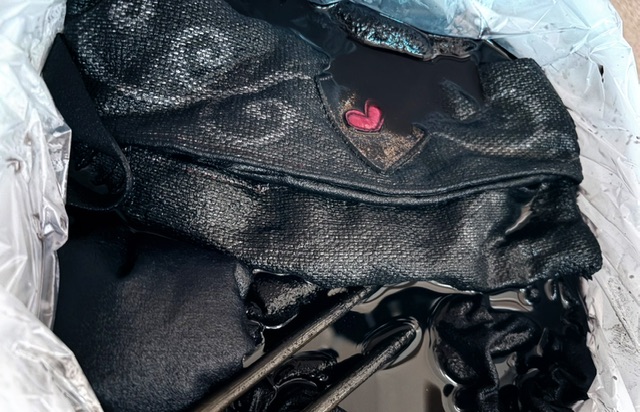 ファイル 2803-1.jpeg