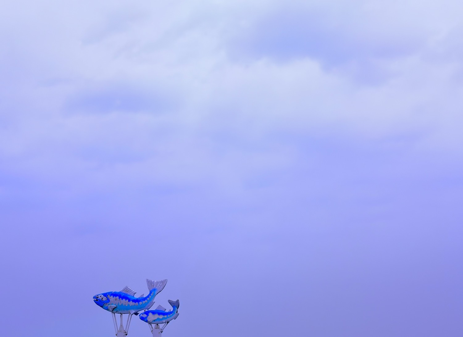 ファイル 2808-4.jpeg