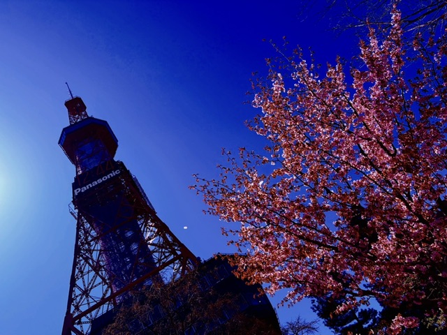 ファイル 2817-1.jpeg