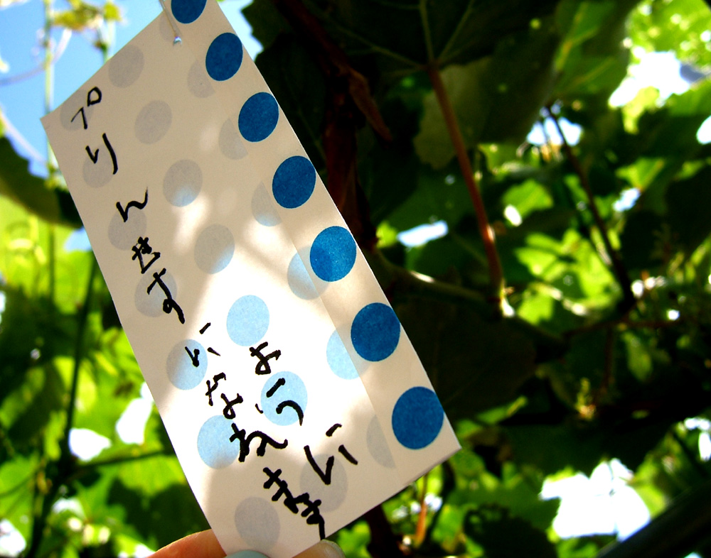 ファイル 349-2.jpg